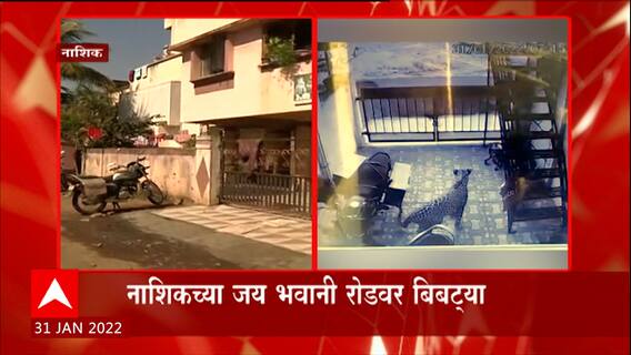 Nashik : नाशिकमधील बिबट्याला पकडण्यासाठी वनविभागाचे प्रयत्न सुरु; नागरिक भयभीत ABP Majha