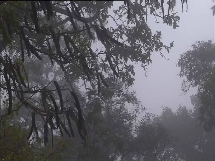 মঙ্গলবার থেকে ফের বাড়বে তাপমাত্রা। তিন চার দিনে ৫ ডিগ্রি পর্যন্ত তাপমাত্রা বাড়তে পারে।