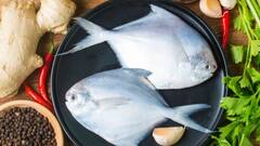 Pomfret Recipe: কলাপাতায় মোড়া গ্রিল্ড-স্টাফড পমফ্রেট, সহজেই বানিয়ে ফেলুন বাড়িতে