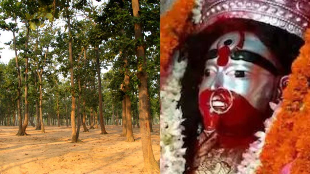 Birbhum Tarapith bolpur sonajhuri hat reopens corona numbers decrease Tarapith: তারাপীঠে প্রবেশে নিয়ম শিথিল, খুলল সোনাঝুরির খোয়াই হাটও