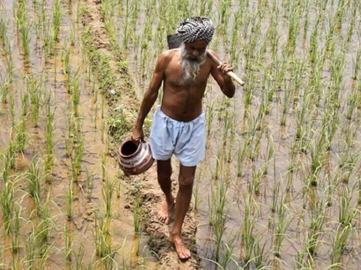 Budget 2022: Use of Kisan Drones to be promoted for crop assessment, digitization of land record Union Budget 2022: બજેટમાં ખેડૂતોને લઈ શું થઈ મોટી જાહેરાત ? જાણો વિગત