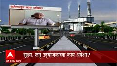 Union Budget 2022 Expectations : सूक्ष्म, लघु उद्योजकांच्या काय अपेक्षा?