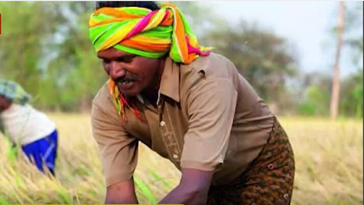 Rajasthan,  Udaipur Two-day farmers fair will be organized, Many farmers will be involved ANN Udaipur Kisan Mela: उदयपुर में पहली बार जिला स्तर पर लगेगा किसान मेला, दो दिवसीय आयोजन में सैंकड़ों किसान होंगे शामिल