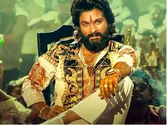 Pushpa : 'पुष्पा' चित्रपटाच्या घवघवीत यशानंतर निर्मात्यांनी घेतला 'हा' निर्णय