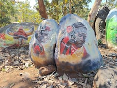 Chhattisgarh News : छत्तीसगढ़ के दंतेवाड़ा में बना पहला मॉडल देवगुड़ी, जिसकी मुख्यमंत्री ने भी की तारीफ, पर्यटकों के लिए बना आकर्षण का केंद्र