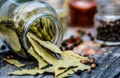 Benefits of spice: এই পাতার ব্যবহারে হাজারও মুশকিল আসান, রান্নাঘরে রেখেছেন তো?