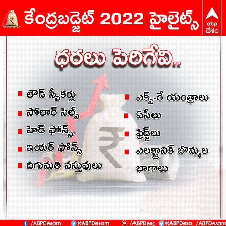 ఈ బడ్జెట్ లో ధరలు పెరిగేవి