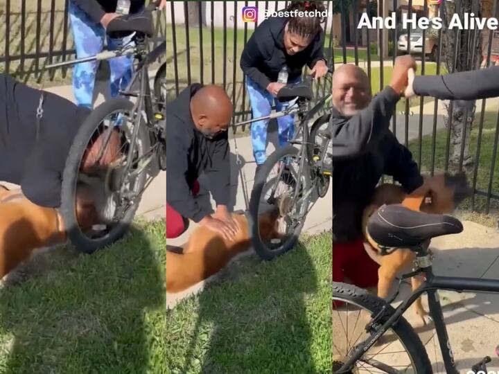 Watch Video: சுருண்டு விழுந்த நாய்.. மூச்சை கொடுத்து சிகிச்சை.. நெகிழ்ச்சி வீடியோ.. Watch: Man performs CPR on dog after it collapses near park, heart-warming video goes viral Watch Video: சுருண்டு விழுந்த நாய்.. மூச்சை கொடுத்து சிகிச்சை.. நெகிழ்ச்சி வீடியோ..