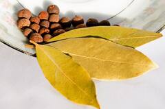 Benefits of spice: এই পাতার ব্যবহারে হাজারও মুশকিল আসান, রান্নাঘরে রেখেছেন তো?