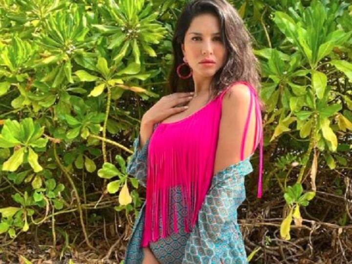 Sunny Leone Photo: जलपरी बन पानी में गोते लगा रही हैं Sunny Leone, जानिए फैन्स ने क्या कहा sunny leone underwater in search of husband daniel weber see her mermaid look Sunny Leone Photo: जलपरी बन पानी में गोते लगा रही हैं Sunny Leone, जानिए फैन्स ने क्या कहा