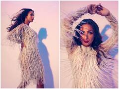 Malaika Arora Photo: हाई स्लिट ड्रेस में मलाइका अरोड़ा ने दिया पोज, देखने वालों के उड़ गए होश
