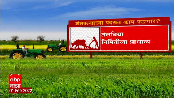 Union Budget 2022 Agriculture Sector : शेतकऱ्यांच्या पदरात काय पडणार? ABP Majha