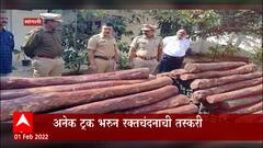 Sangali : सांगलीत पोलीस आणि वन विभागाने खरीखुरी रक्तचंदनाच्या तस्करी उघडकीस आणलीय : ABP Majha