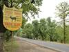 Ratapani Wildlife Sanctuary: रातापानी अभ्यारण को टाइगर रिजर्व बनाने के लिए सरकार ने दी मंजूरी, जानें क्या है पूरा प्लान