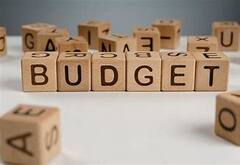 Union Budget 2022: কেন্দ্রের বাজেট নিয়ে কী প্রতিক্রিয়া সাধারণ মানুষের?। Bangla News