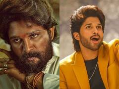 Allu Arjun Family: पुष्पा के अल्लू अर्जुन अकेले नहीं हैं फैमिली में एक्टर, परिवार में एक से बढ़कर एक हैं धुरंदर कलाकार