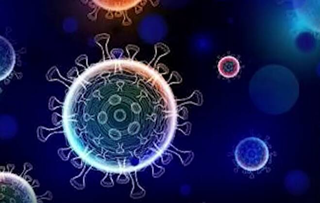 Daily COVID Update: Daily COVID Update: India Reports 1.49 lakh News Coronavirus Cases recovery rate 95.39 per cent Daily COVID Update: দেশে নতুন করে সংক্রমিত ১.৪৯ লক্ষ, দৈনিক মৃত্যু ১০৭২, কেরলেই মৃত ৬০১