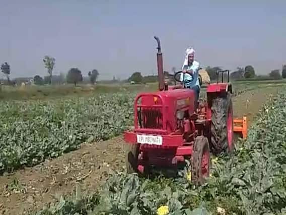Kisan Karj Rahat Yojana: ਕਿਸਾਨਾਂ ਨੂੰ ਮਿਲੇਗਾ 1 ਲੱਖ ਤੱਕ ਦੀ ਕਰਜ ਮੁਆਫੀ ਦਾ ਲਾਭ! ਜਾਣੋ ਕਿਹਨਾਂ ਨੂੰ ਮਿਲੇਗਾ ਇਸ ਸਕੀਮ ਦਾ ਫਾਇਦਾ Kisan Karj Rahat Yojana: ਕਿਸਾਨਾਂ ਨੂੰ ਮਿਲੇਗਾ 1 ਲੱਖ ਤੱਕ ਦੀ ਕਰਜ ਮੁਆਫੀ ਦਾ ਲਾਭ! ਜਾਣੋ ਕਿਹਨਾਂ ਨੂੰ ਮਿਲੇਗਾ ਇਸ ਸਕੀਮ ਦਾ ਫਾਇਦਾ