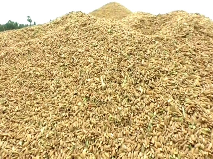 ஏக்கருக்கு 60 மூட்டைகளை மட்டுமே கொள்முதல் செய்யும் முறையால் விவசாயிகள் அவதி