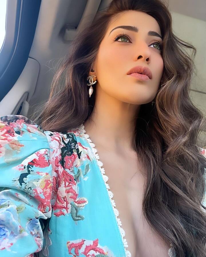 రాయ్ లక్ష్మి (image credit :Raai Laxmi /Instagram)
