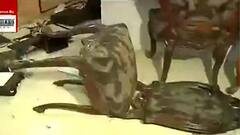 Bidhannagar Municipality: উত্তপ্ত বিধাননগর, সল্টলেকে বিজেপির নির্বাচনী কার্যালয়ে হামলা । Bangla News