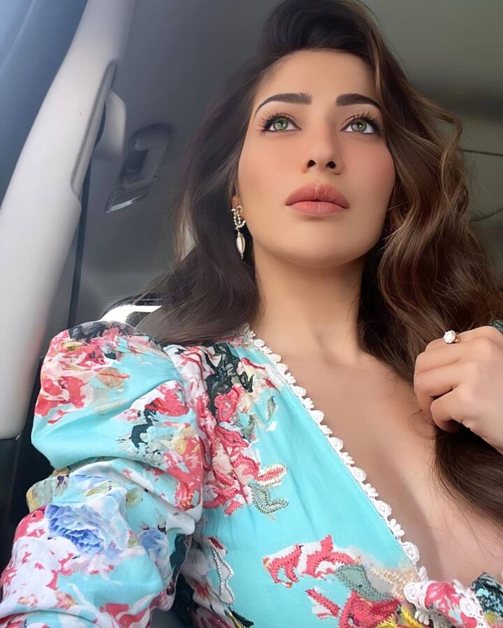 రాయ్ లక్ష్మి (image credit :Raai Laxmi /Instagram)