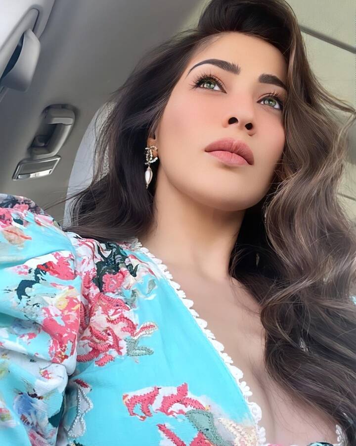 రాయ్ లక్ష్మి (image credit :Raai Laxmi /Instagram)