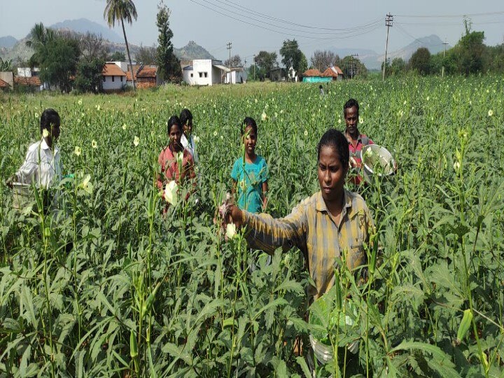 ஏழை மருத்துவ மாணவிக்கு ஸ்டெத்தஸ்கோப், மருத்துவ கோர்ட் அணிவித்து அழகு பார்த்த மாவட்ட ஆட்சியர் !