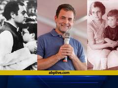 Rahul Gandhi Education Qualifications: कितने पढ़े-लिखे हैं राहुल गांधी? देहरादून से लेकर Harvard University तक की पूरी डिटेल्स जानिए