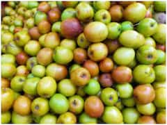 Benefits Of Jujube: सीजनल फलों में जरूर खाएं बेर, फायदे जानकर रह जाएंगे हैरान