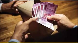 India Inc salary Hike 2022: గుడ్‌న్యూస్‌! ఈ స్కిల్స్‌ ఉన్న ఉద్యోగులకు 25% సాలరీ హైక్‌ - మిగతావాళ్లకి 9% పెంపు