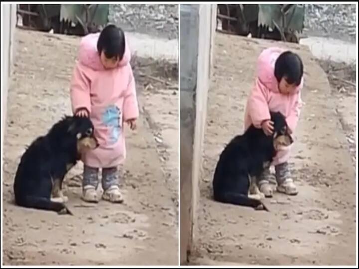 China: little girl comforting her dog during cracker bursts video goes viral in social media Watch Video: அது பட்டாசுக்கு பயப்படும்ல ... நாயின் காதை மூடிய சிறுமி - க்யூட் வீடியோ வைரல்!