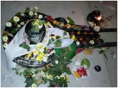Maha Shivratri 2022: महा शिवरात्रि के दिन भूलकर भी न करें ये काम, नहीं तो झेलना पड़ेगा नुकसान