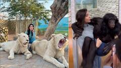 નોરા ફતેહીએ દુબઈના ઝૂમાં લાયન સાથે આપ્યા જોરદાર પોઝ, ચિમ્પાજીને ખોળામાં તેડી પડાવ્યા ફોટા