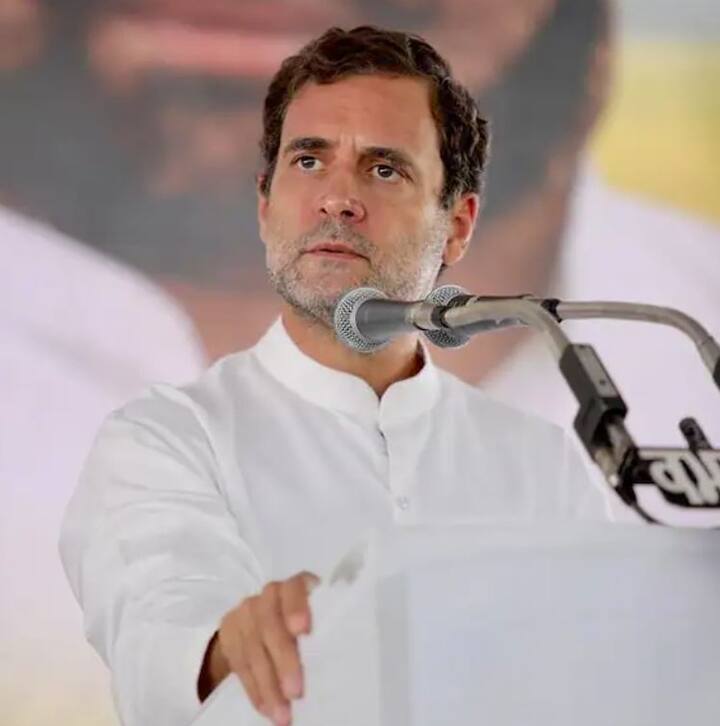 ਰਾਹੁਲ ਗਾਂਧੀ ਪ੍ਰਧਾਨ ਮੰਤਰੀ ਇੰਦਰਾ ਗਾਂਧੀ ਦੇ ਪੋਤੇ ਹਨ। ਉਨ੍ਹਾਂ ਦੇ ਦਾਦਾ ਫਿਰੋਜ਼ ਗਾਂਧੀ ਗੁਜਰਾਤ ਦੇ ਇੱਕ ਪਾਰਸੀ ਸਨ। ਰਾਹੁਲ ਭਾਰਤ ਦੇ ਪਹਿਲੇ ਪ੍ਰਧਾਨ ਮੰਤਰੀ ਜਵਾਹਰ ਲਾਲ ਨਹਿਰੂ ਦੇ ਪੜਪੋਤੇ ਵੀ ਹਨ। ਪ੍ਰਿਯੰਕਾ ਗਾਂਧੀ ਵਾਡਰਾ ਉਨ੍ਹਾਂ ਦੀ ਛੋਟੀ ਭੈਣ ਹੈ ਤੇ ਰੋਬਟ ਵਾਡਰਾ ਉਨ੍ਹਾਂ ਦਾ ਜੀਜਾ ਹੈ।