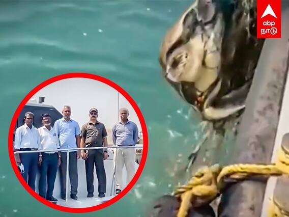 Customs Saved Olive Ridley Turtles: வலையில் சிக்கித் தவித்த ஆமை..காப்பாற்றிய சுங்கத்துறை அதிகாரிகள்