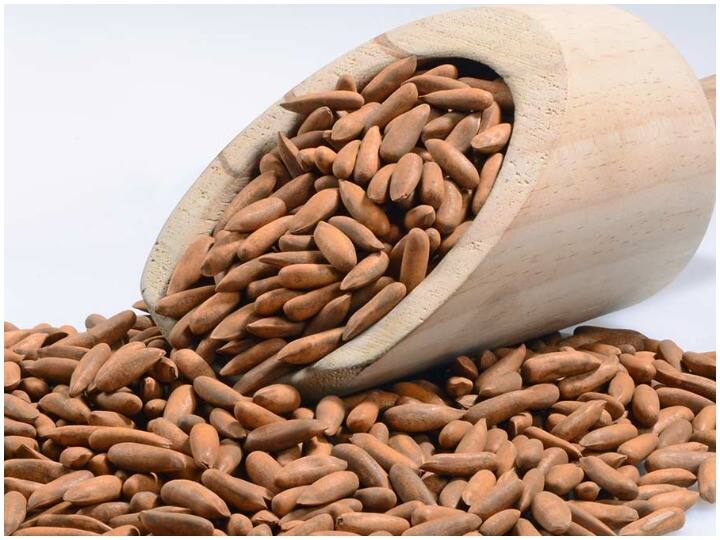 Pine Nuts Chilgoza Health Benefits Use Price And How Much Pine Nuts Should Eat A Day Health Tips: बादाम पिस्ता को भी फेल करता है चिलगोजा, सर्दी-खांसी, दमा और कमजोरी को दूर करता है, फायदे जानकर रह जाएंगे हैरान