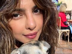 Netizens Say ‘Hello Mommy’ As Priyanka Chopra Shares First Social Media Post After Baby Announcement
