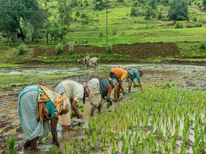 Budget 2022 Digital Land Record One Nation One Registration of land and ULPIN number will be given to every land know details about it Digital Land Record: जमीनों का डिजिटल रिकॉर्ड बनाने की सरकार की तैयारी, इस नंबर से मिलेंगे जमीन के सारे डिटेल्स