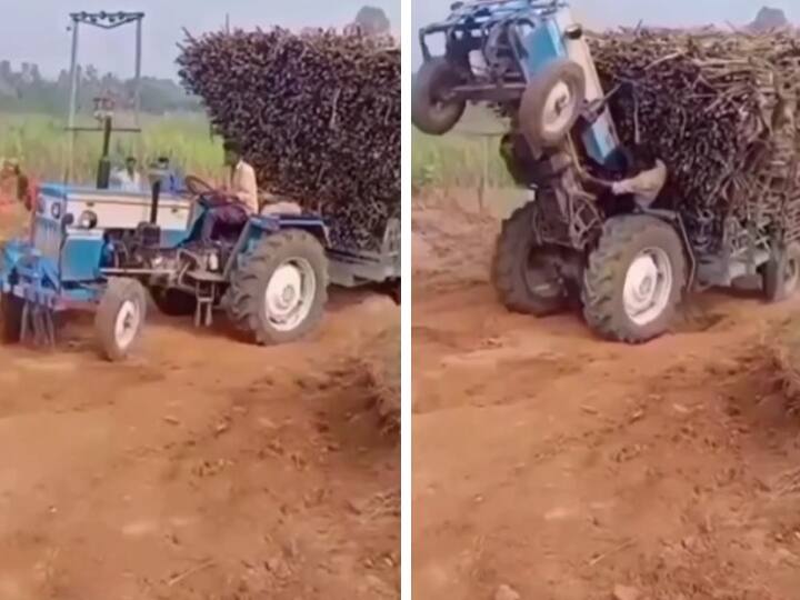 Watch this funny video of tractor driving, this video getting viral on social media Watch: आपने नहीं देखा होगा ऐसा कमाल का ड्राइवर, गियर लगाते ही हवा में उछल गया ट्रैक्टर