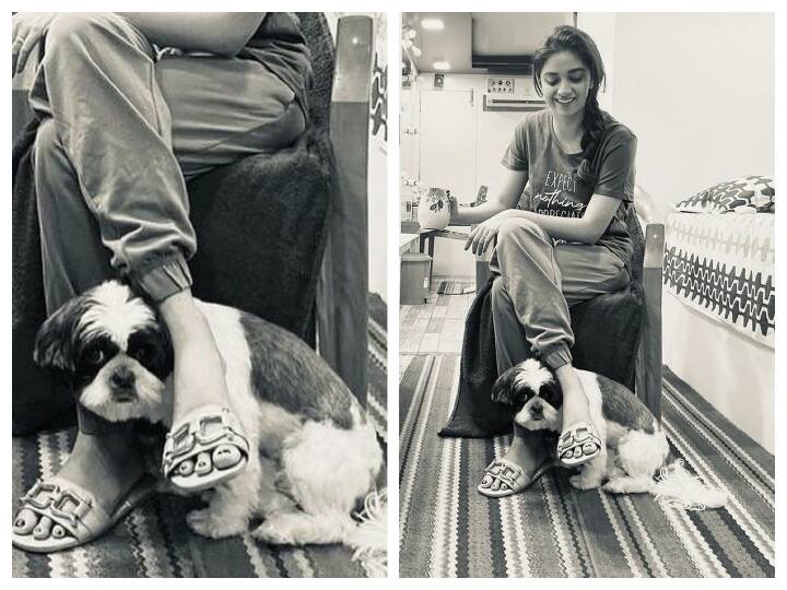 Keerthi Suresh | நாயை கொடுமைப்படுத்தினாரா கீர்த்தி சுரேஷ்? சர்ச்சையை கிளப்பும் இன்ஸ்டா போட்டோ!