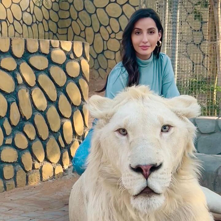 या व्हिडियोमध्ये नोरा त्यांना जेवण भरवतानासुद्धा दिसतेय. (Photo Credit: Nora Fatehi Instagram)