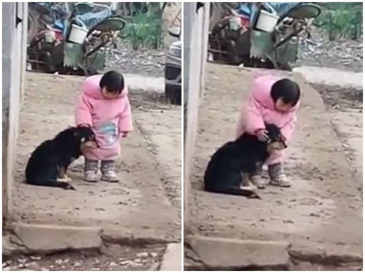 By helping Dog scared of sound of firecrackers girl gave message of humanity to her elders Watch: बच्ची ने की पटाखों की आवाज से डरे डॉगी की मदद, अपने से बड़ों को दिया इंसानियत का मैसेज