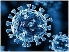 Omicron Variant Alert: ओमिक्रोन वेरिएंट के नए स्ट्रेन BA.2 ने बढ़ाई लोगों की टेंशन, इस तरह करें इससे बचाव