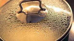 Kitchen Tips: বাসি খাবারও চলতে পারে দিব্যি, কিন্তু সঠিক পদ্ধতিতে গরম করছেন তো!