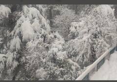 ਬਰਫ ਦੀਆਂ ਮੋਟੀਆਂ ਪਰਤਾਂ ਨਾਲ ਢੱਕੀਆਂ ਹਿਮਾਚਲ ਦੀਆਂ ਪਹਾੜੀਆਂ, ਠੰਢੀਆਂ ਹਵਾਵਾਂ ਨੇ ਵੀ ਠਾਰ੍ਹੇ ਲੋਕ, ਦੇਖੋ ਬਰਫਬਾਰੀ ਦੇ ਖੂਬਸੂਰਤ ਨਜ਼ਾਰੇ