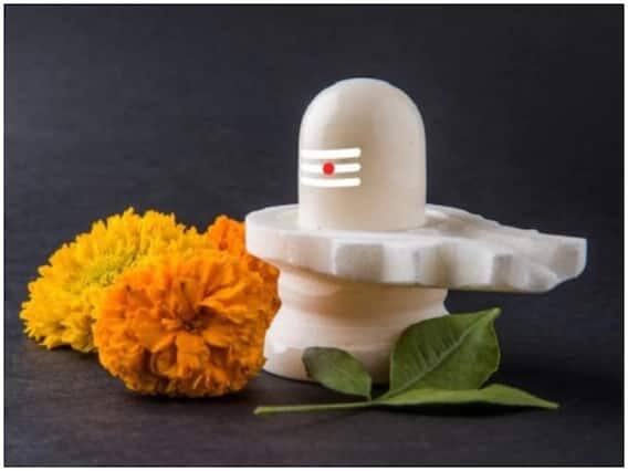 શિવરાત્રિના ઉપવાસ દરમિયાન ઉપવાસીઓએ ચોખા, કઠોળ અને ઘઉંનું સેવન ન કરવું જોઈએ. તમે ફળો, દૂધ અને ચા પી શકો છો.