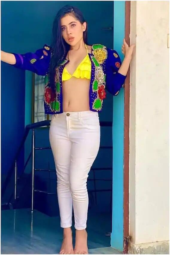ઉર્ફી જાવેદ ટીવી શૉમાં પણ કામ કરી ચૂકી છે. આ લિસ્ટમાં યૈ રિશ્તા ક્યા કહલાતા હૈ જેવા મોટા શૉ સામેલ છે. પરંતુ સૌથી વધુ પૉપ્યૂલારિટી તેને બિગ બૉસ ઓટીટી પરથી મળી.