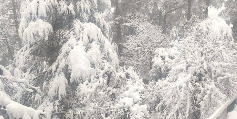 Weather Update India Several norther India states witness snowfall Weather Update India: বরফের চাদরে ঢাকা চারিদিক, ভারী তুষারপাত উত্তরভারতের একাধিক রাজ্যে, সতর্ক করল আইএমডি