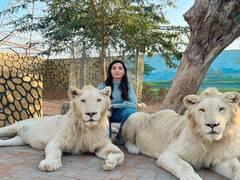 खतरनाक! नोराचे नवे फोटो पाहिले का?